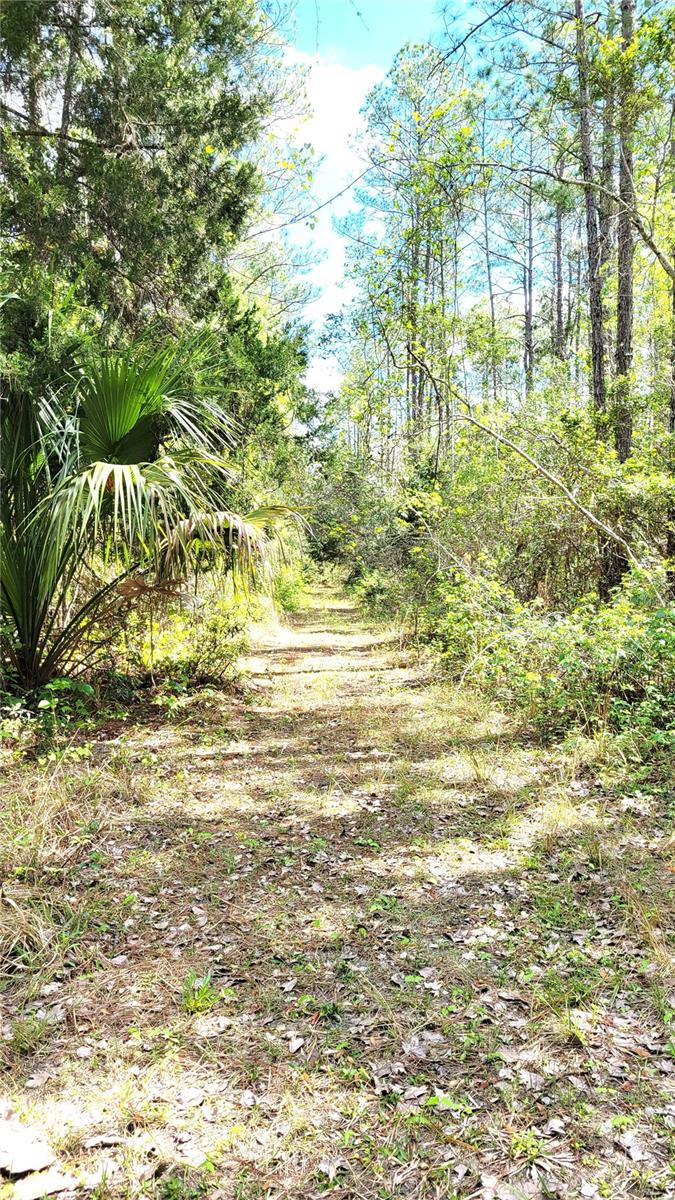 UNIVERSITY HIGHLANDS - Land