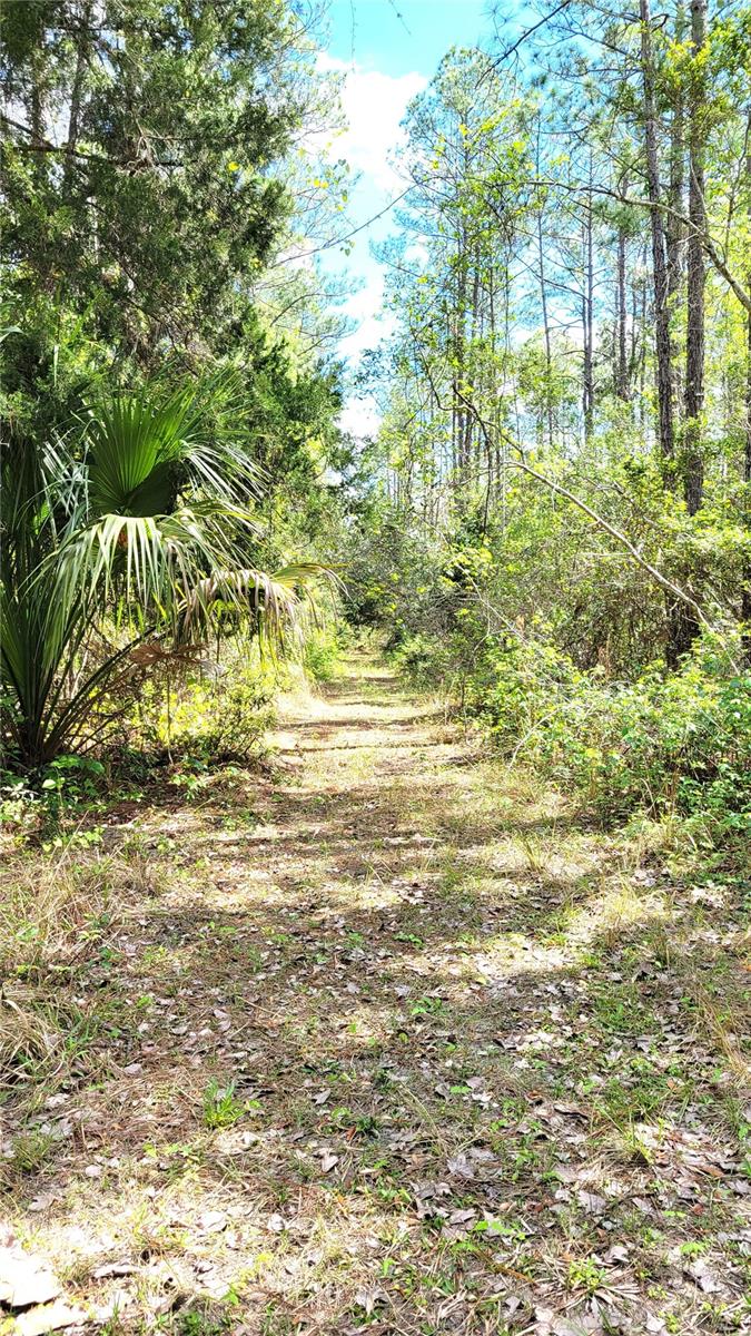 UNIVERSITY HIGHLANDS - Land