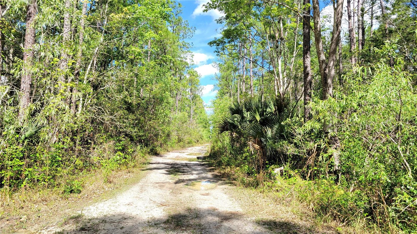 UNIVERSITY HIGHLANDS - Land