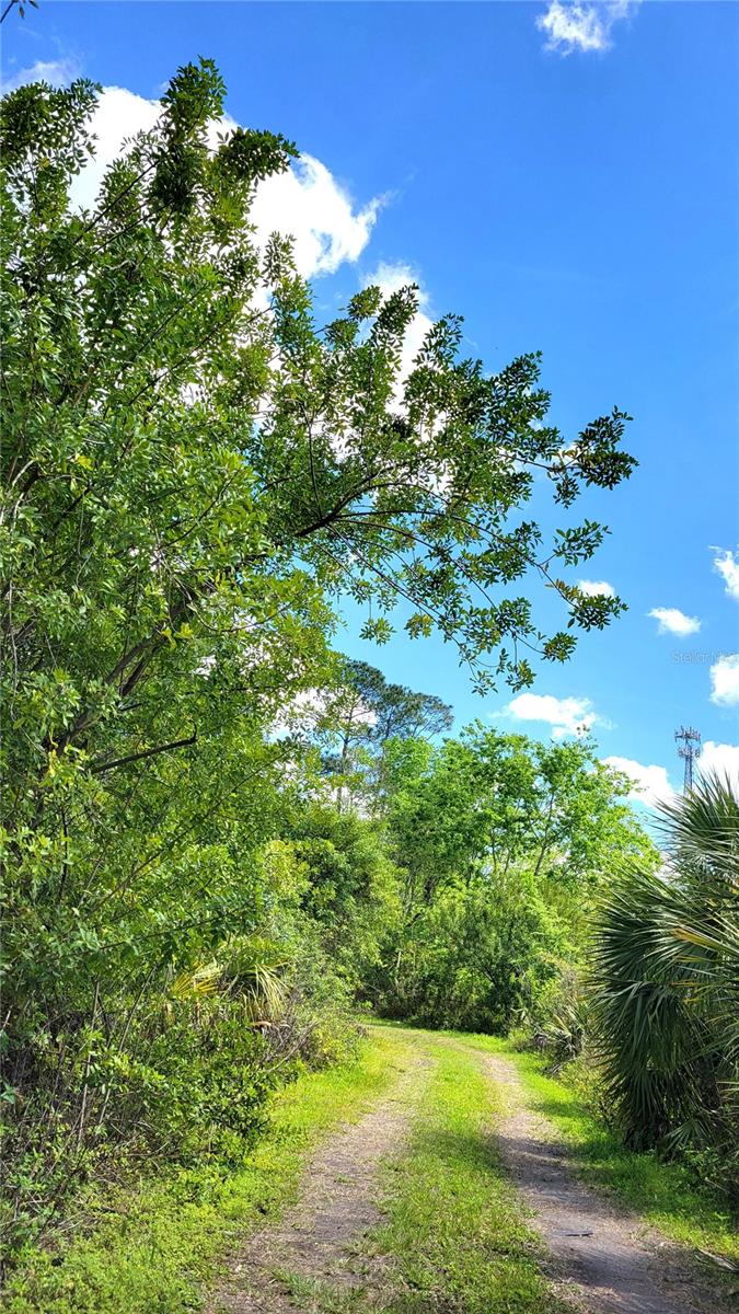 UNIVERSITY HIGHLANDS - Land