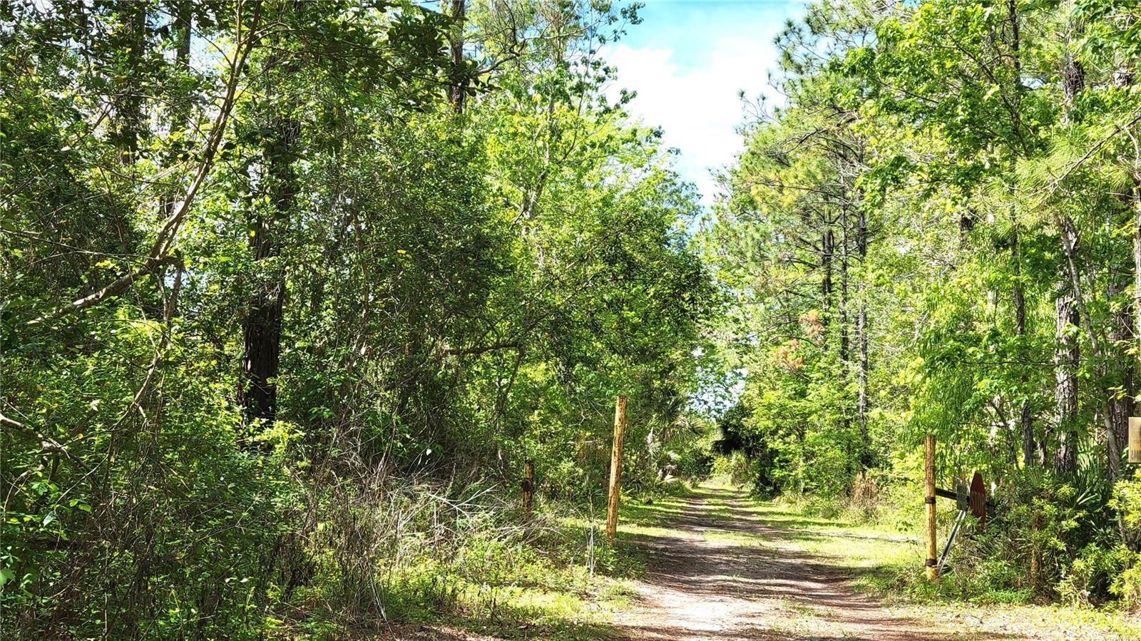 UNIVERSITY HIGHLANDS - Land