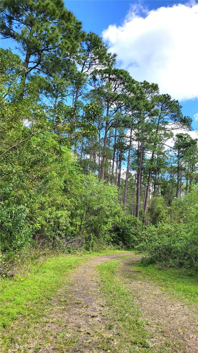 UNIVERSITY HIGHLANDS - Land