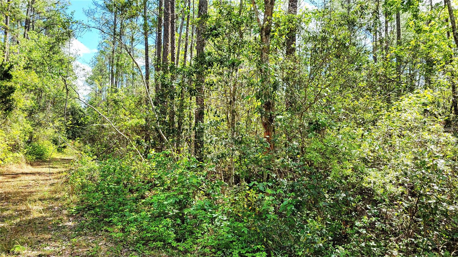 UNIVERSITY HIGHLANDS - Land