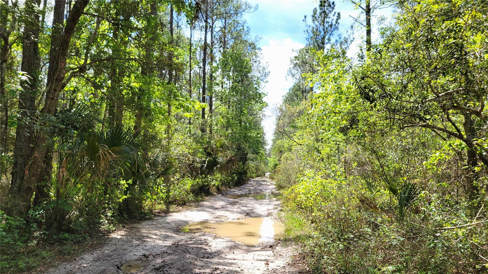 UNIVERSITY HIGHLANDS - Land