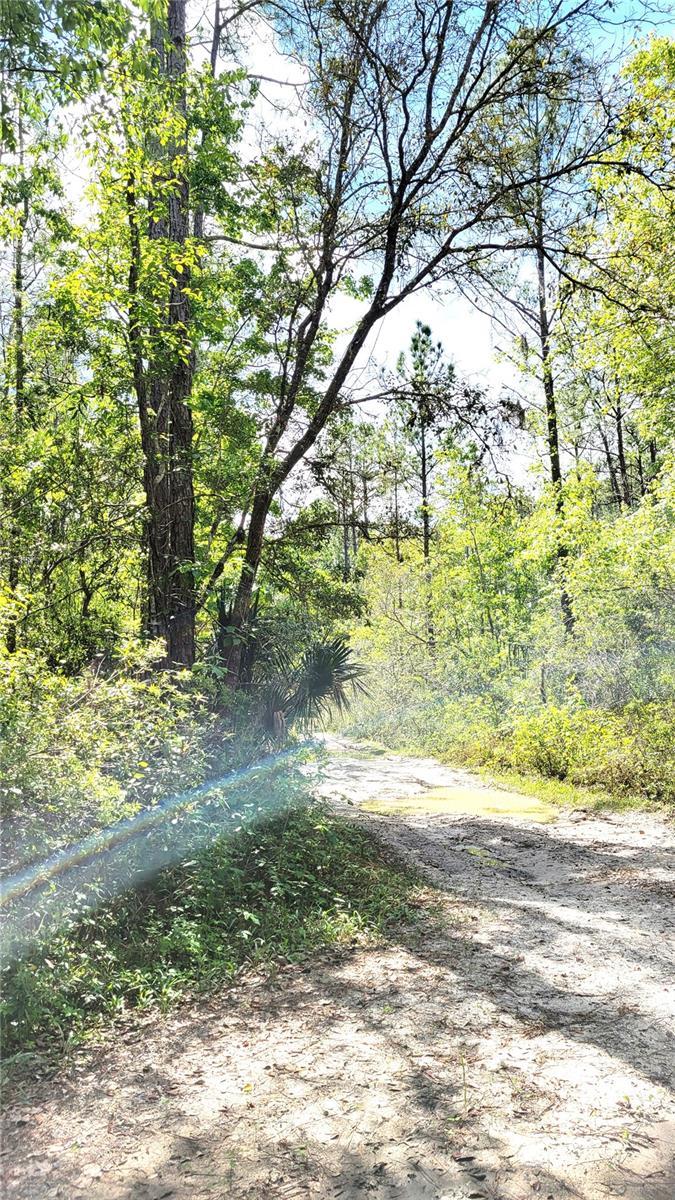 UNIVERSITY HIGHLANDS - Land