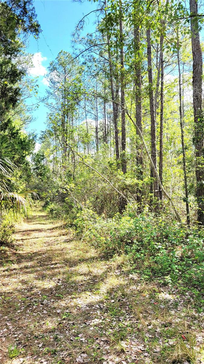 UNIVERSITY HIGHLANDS - Land