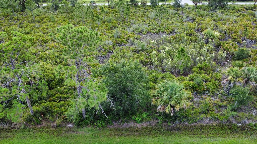 Photo of 287 Redington Avenue, Port Charlotte, FL 33953 (MLS # TB8399232)