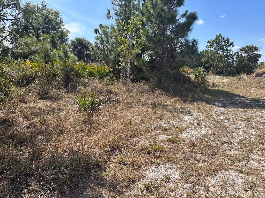 Photo of 2817 56th Street W, Lehigh Acres, FL 33971 (MLS # O6234295)