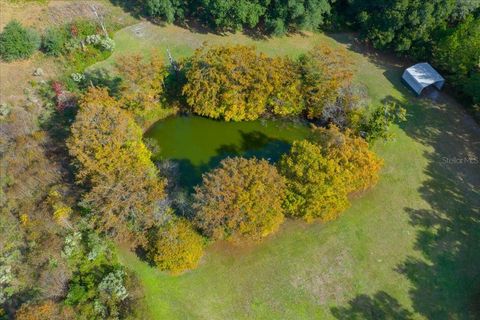 Tiny photo for 19189 SW 29th Street, Dunnellon, FL 34432 (MLS # OM713613)