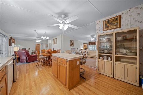 Tiny photo for 19189 SW 29th Street, Dunnellon, FL 34432 (MLS # OM713613)