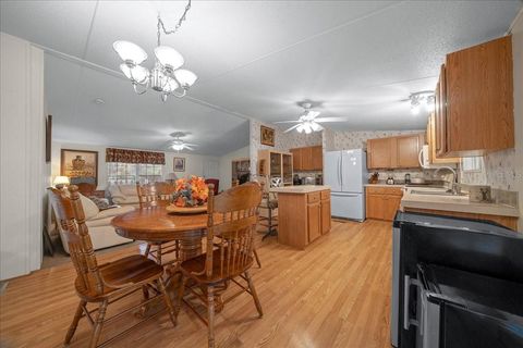 Tiny photo for 19189 SW 29th Street, Dunnellon, FL 34432 (MLS # OM713613)