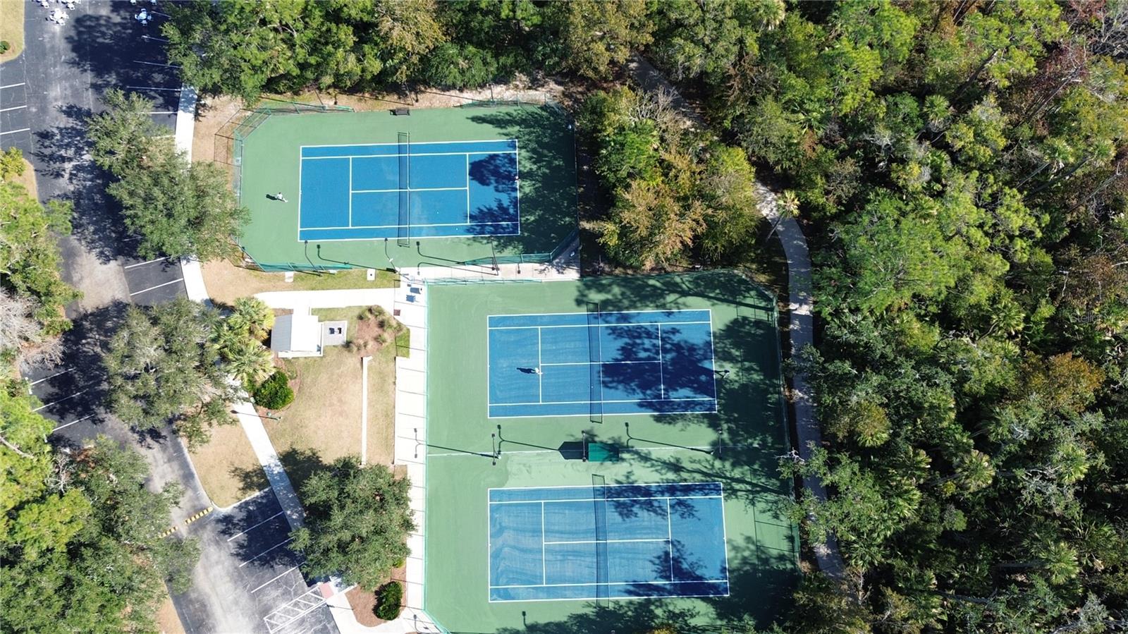 CELEBRATION SOUTH VILLAGE UNIT 2 - Residential