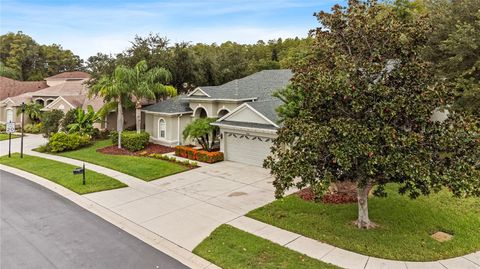 A home in LAND O LAKES