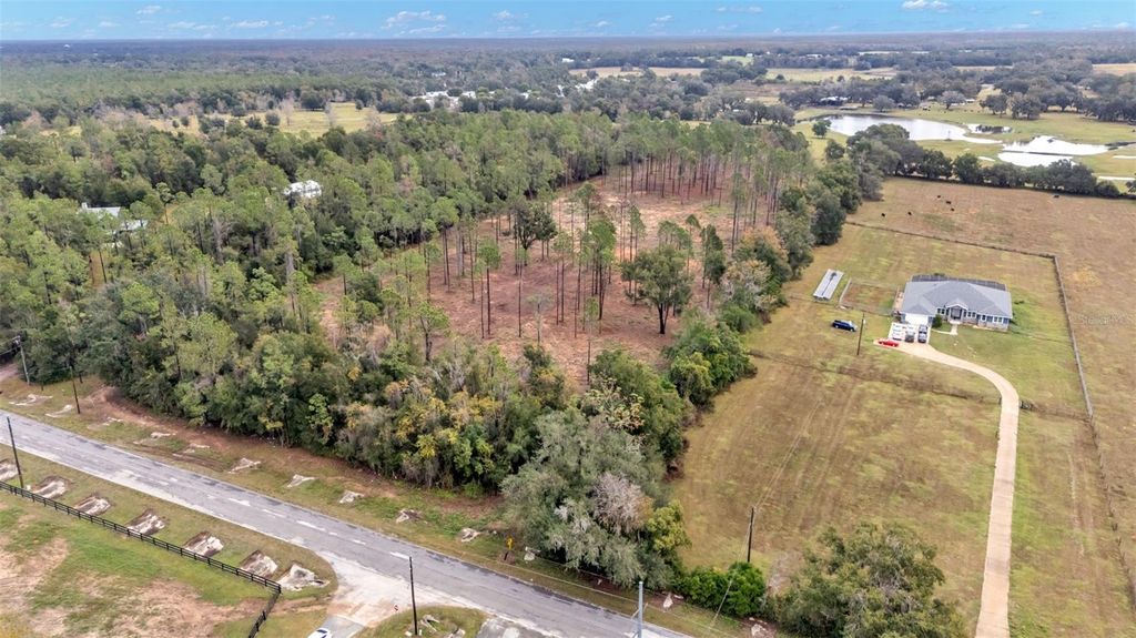 Photo of 17738 Powerline Road, Dade City, FL 33523 (MLS # L4957824)