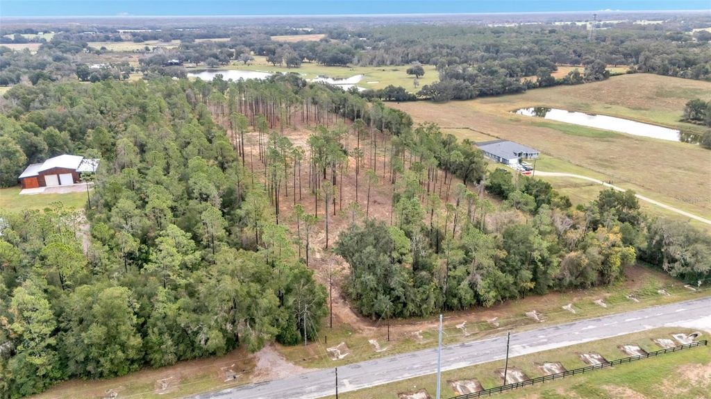 Photo of 17738 Powerline Road, Dade City, FL 33523 (MLS # L4957824)