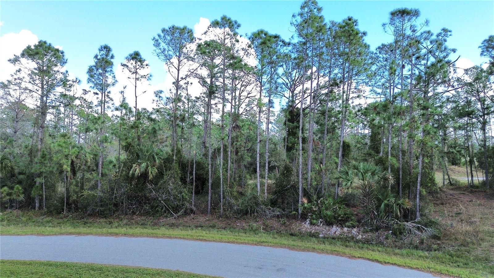 DOUBLE LOT!!!Discover the perfect opportunity to own a piece of North Port, FL, in the heart of a rapidly expanding area. Great vacant double lot near famous Warm Mineral Spring Lake, a local gem and Wallen Park downtown area and the highly anticipated new Costco store. Great opportunity to buy and build in the heart of fast growing area of North Port, FL. This property is perfectly situated near shopping centers, a variety of dining options, beautiful parks, stunning beaches, and world-class golf courses. Easy access to U.S 41 and Interstate 75 for smooth commuting and travel. Enjoy the freedom of no HOA, Deed Restrictions, or CDD fees, making it an ideal canvas for your dreams. Don't let this incredible property pass you by. Seize the moment to invest in this exceptional opportunity. Your dream home or investment project awaits!