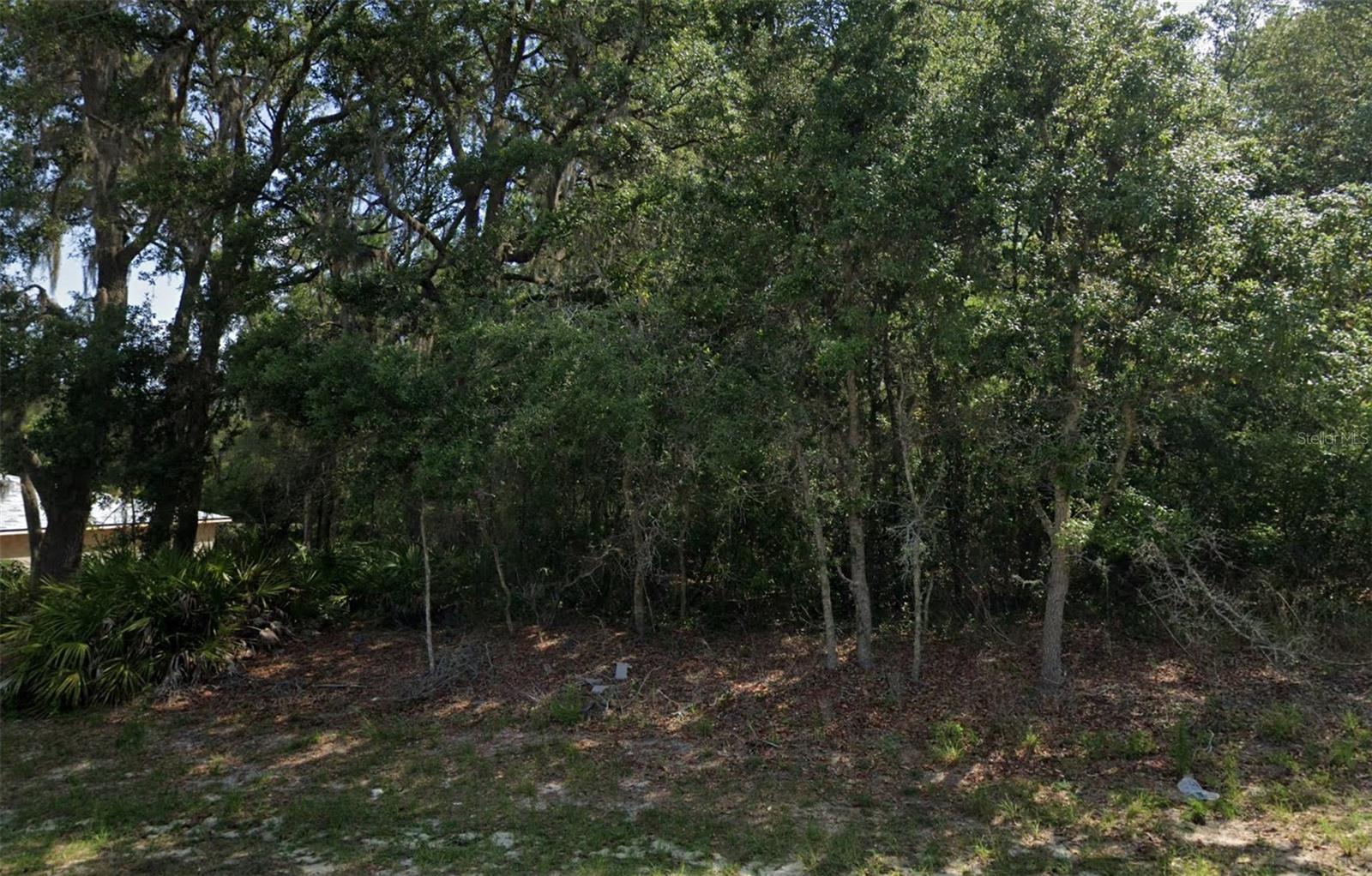 MARION OAKS UN ELEVEN - Land