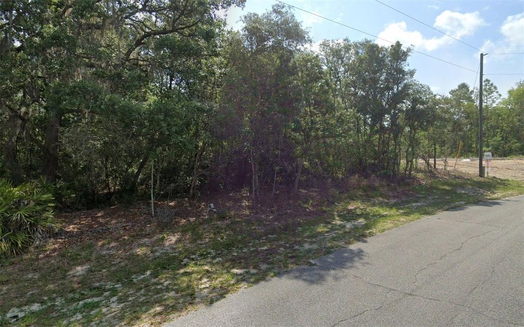Photo of SW 79th Ave Rd, Ocala, FL 34473 (MLS # O6375470)