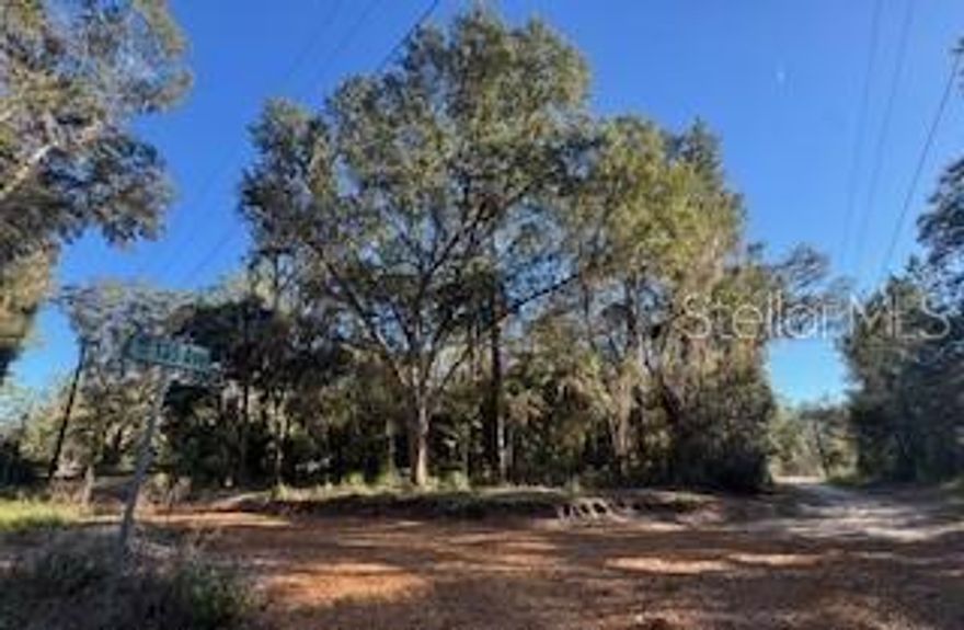 Opportunity for two adjacent lots! This vacant 0.28-acre wooded lot sits in a quiet area of Fort McCoy, with beautiful trees worth keeping. It’s conveniently located just off a paved road, offering a peaceful rural setting and the chance to build your dream home near the Ocala National Forest, Ocklawaha River, numerous lakes, springs, and 4WD trails. The neighboring 0.28-acre lot to the north is also available, providing extra space or a great investment opportunity. Build here!
