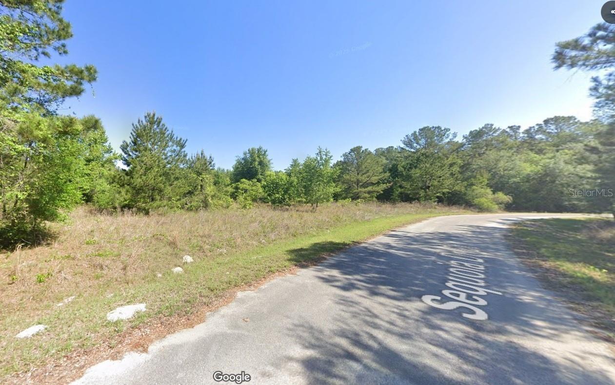 Build your dream home in the rapidly growing and serene area of Ocala. This property is nestled up to the Ocklawaha Prairie Restoration Area. Enjoy the small-town flair with annual festivals, rodeos, world-renowned fishing, and abundant hunting opportunities.
