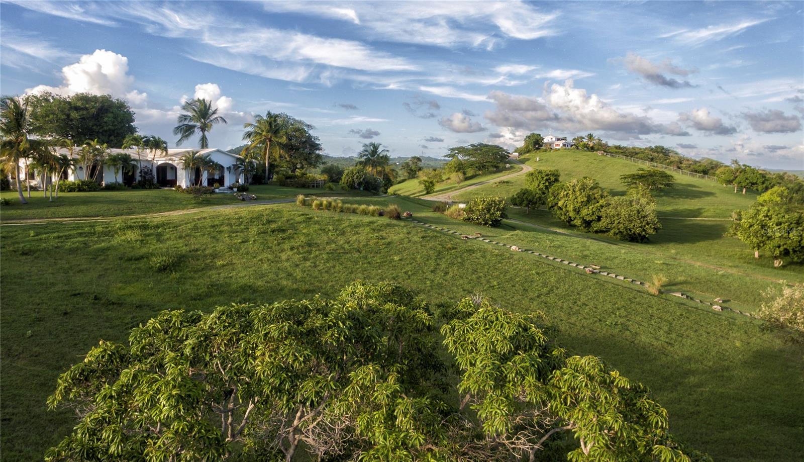 1 EL CERRO