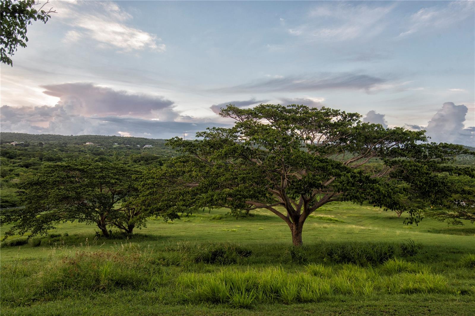 ESPERANZA - Residential