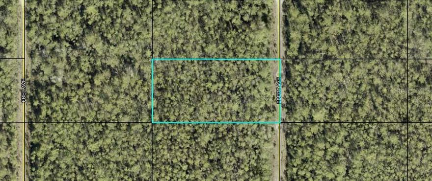 Here is your opportunity to own 1.14 acres in Flagler Estates located in Flagler County, Florida!