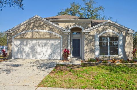 26933 CARMEN PLACE LUTZ FL 33559