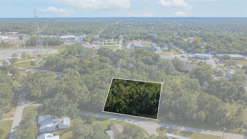 Photo of 3817 E Forest Drive, Inverness, FL 34453 (MLS # OM734586)