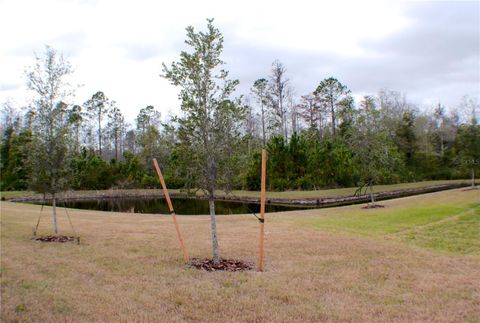 A home in LAND O LAKES