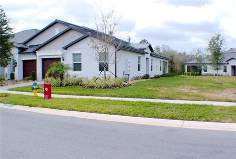 A home in LAND O LAKES