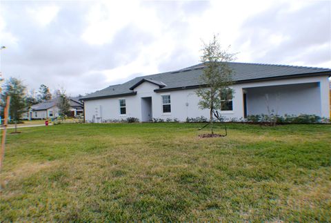 A home in LAND O LAKES