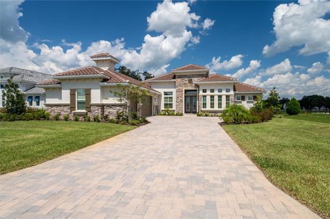 Photo of 13744 Carryback Drive, Dade City, FL 33525 (MLS # OM708554)