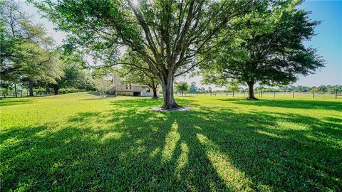 A home in PUNTA GORDA