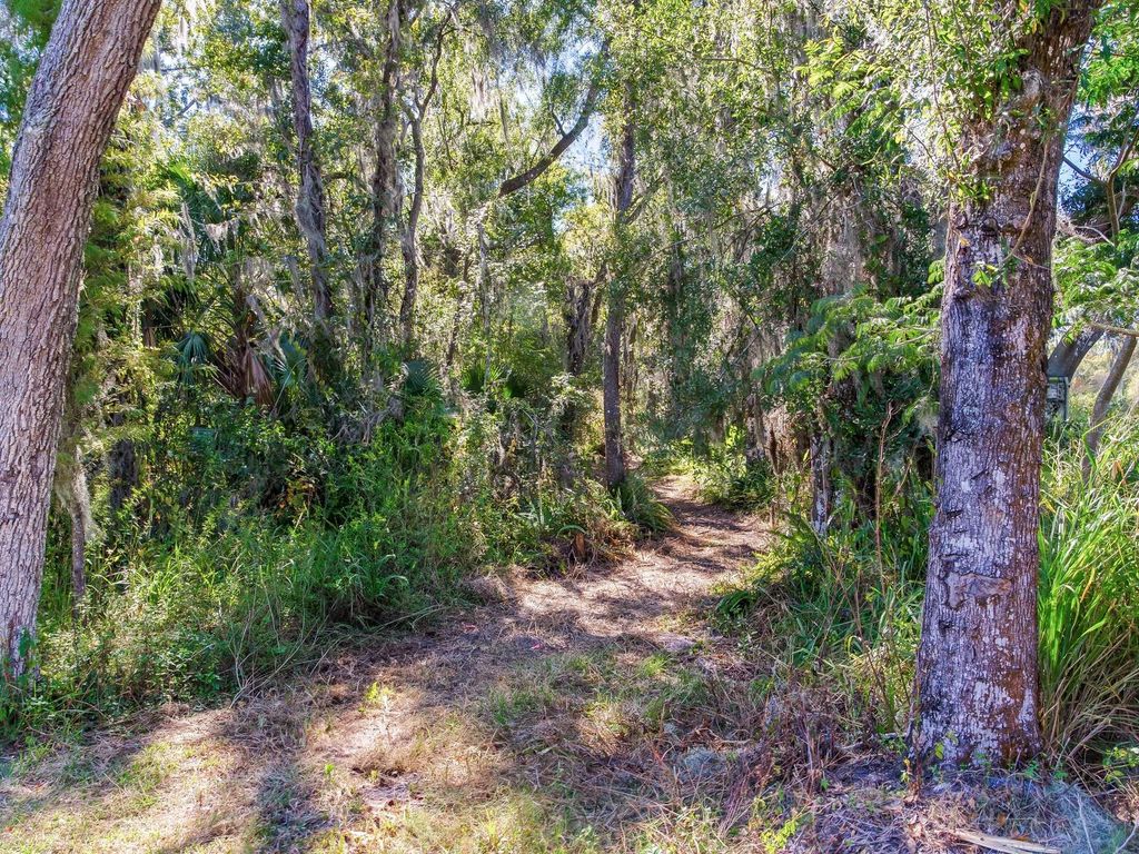 Photo of Drawdy Road, Plant City, FL 33567 (MLS # TB8445118)