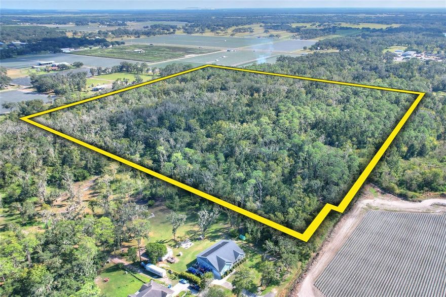 Discover 37.12 acres of pure Florida nature on the southern side of Plant City! This beautiful piece of land is filled with towering oaks, cypress, and pine trees that create a peaceful, private setting perfect for anyone who loves the outdoors. A winding creek runs through the property, drawing in all kinds of wildlife and adding to the natural charm.

There are already a few trails cut in, so you can start exploring right away — ride ATVs, go hiking, horseback riding, hunt, or just enjoy the quiet beauty of the woods. And if you’re up for more adventure, there’s plenty of room to carve out new paths and make it your own.

Tucked away yet close to Hwy 60, this spot offers the best of both worlds — a private escape with easy access to town. Whether you’re looking for a weekend getaway or a fun recreational spot, this property is full of possibilities.