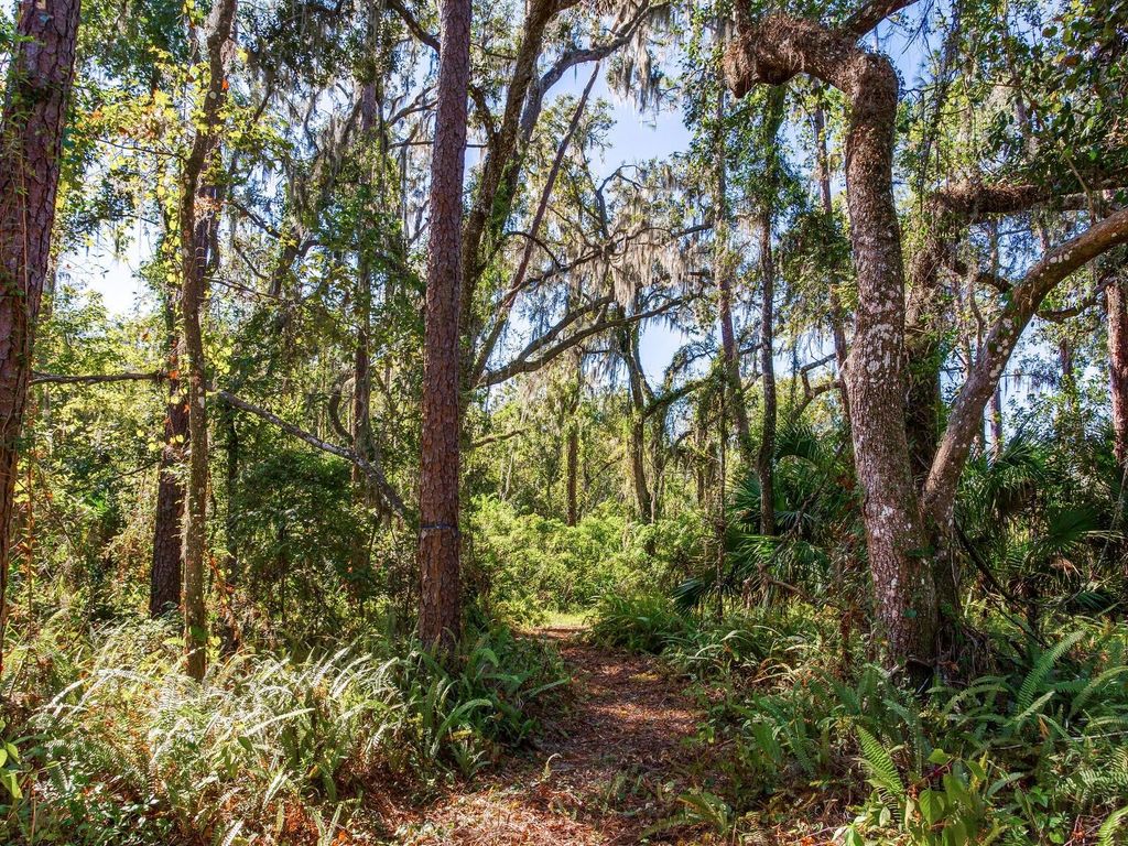 Photo of Drawdy Road, Plant City, FL 33567 (MLS # TB8445118)