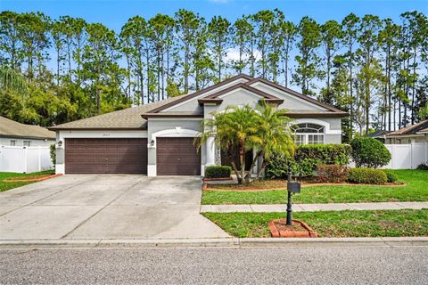 Photo of 20835 Riverforest Drive, Land O Lakes, FL 34638 (MLS # TB8479415)