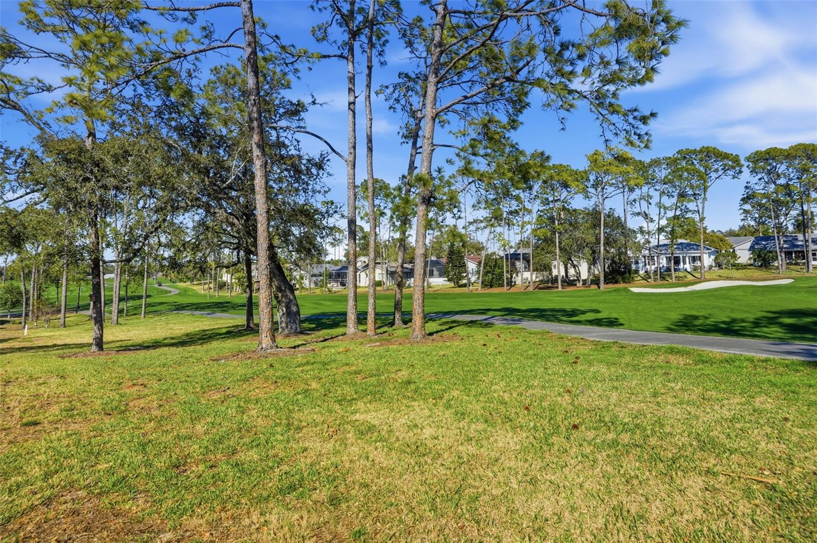 TIMBER PINES - Residential