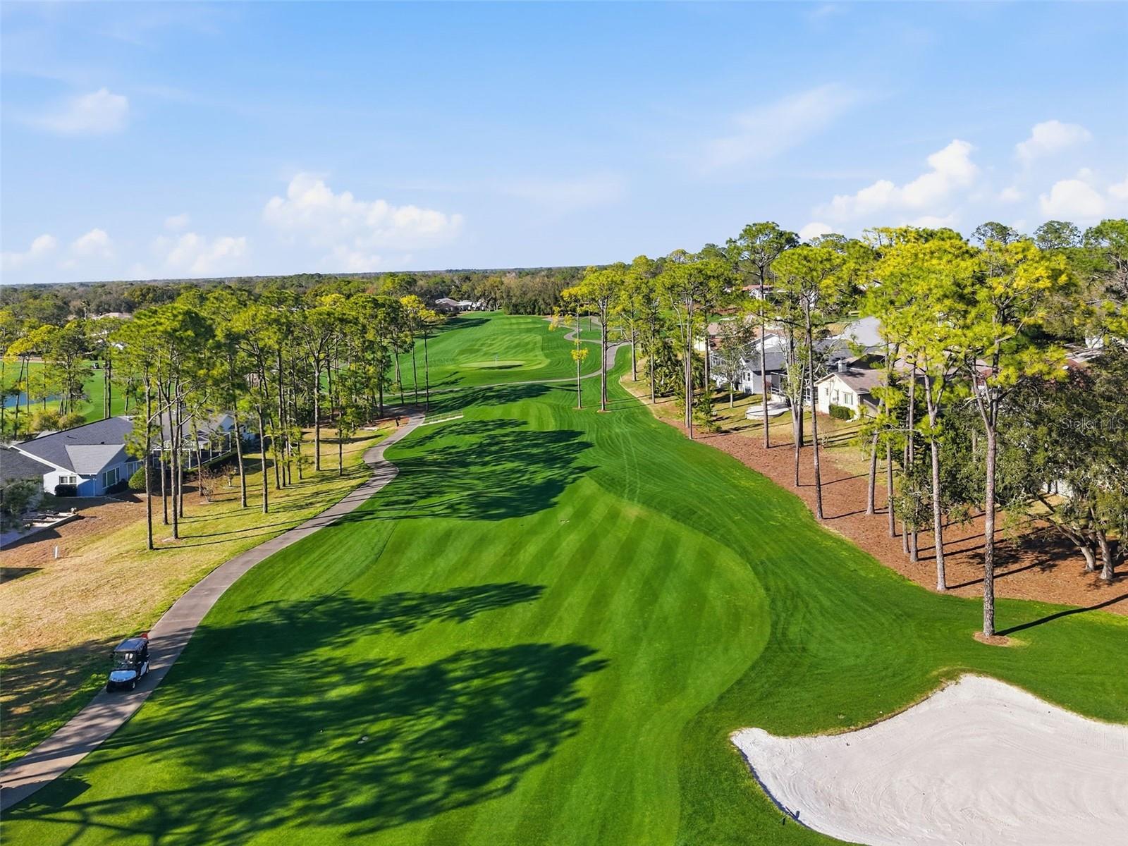 TIMBER PINES - Residential