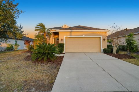 Photo of 15692 Lemon Fish Drive, Lakewood Ranch, FL 34202 (MLS # O6383188)