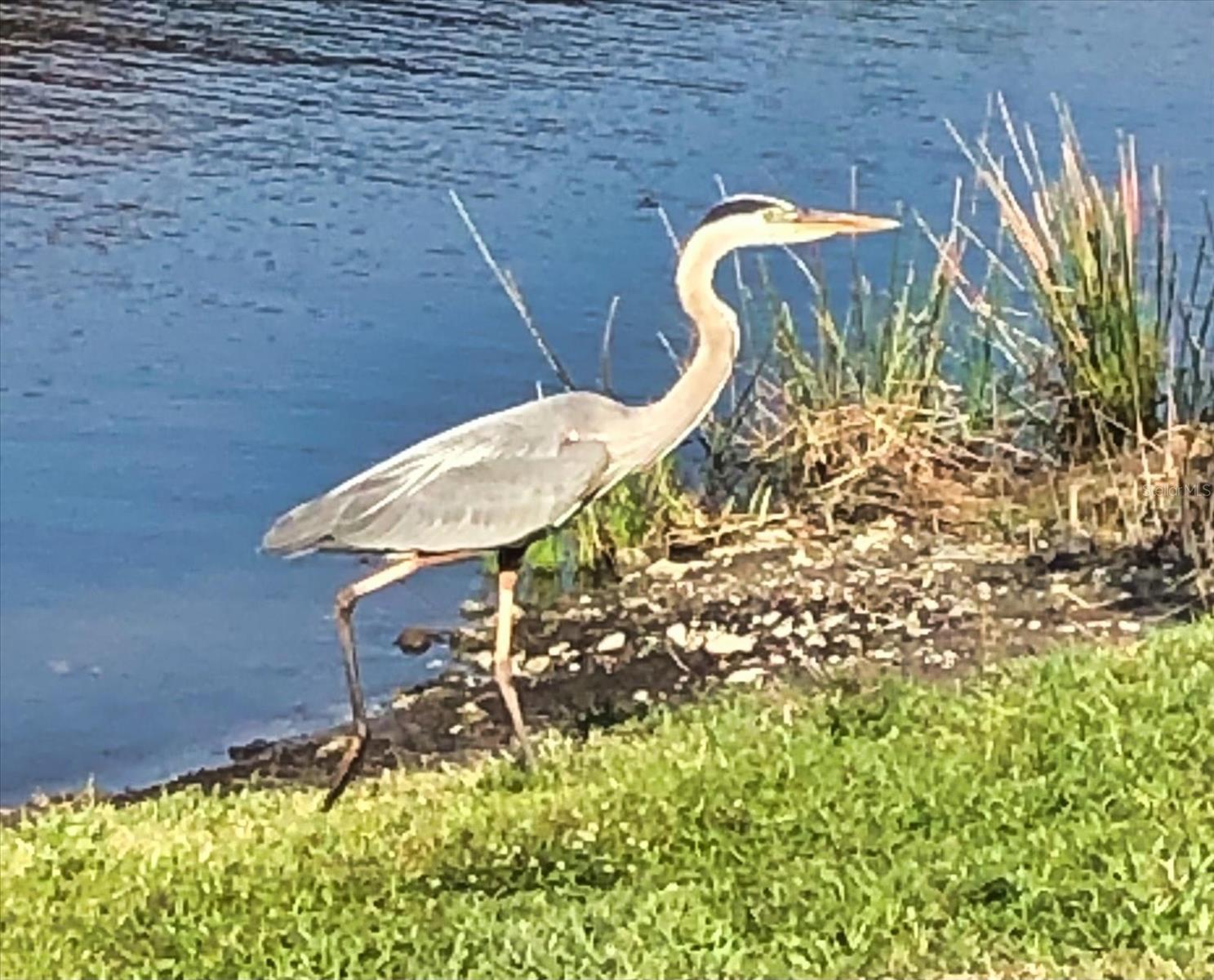 BOCA ROYALE UN 13 - Residential