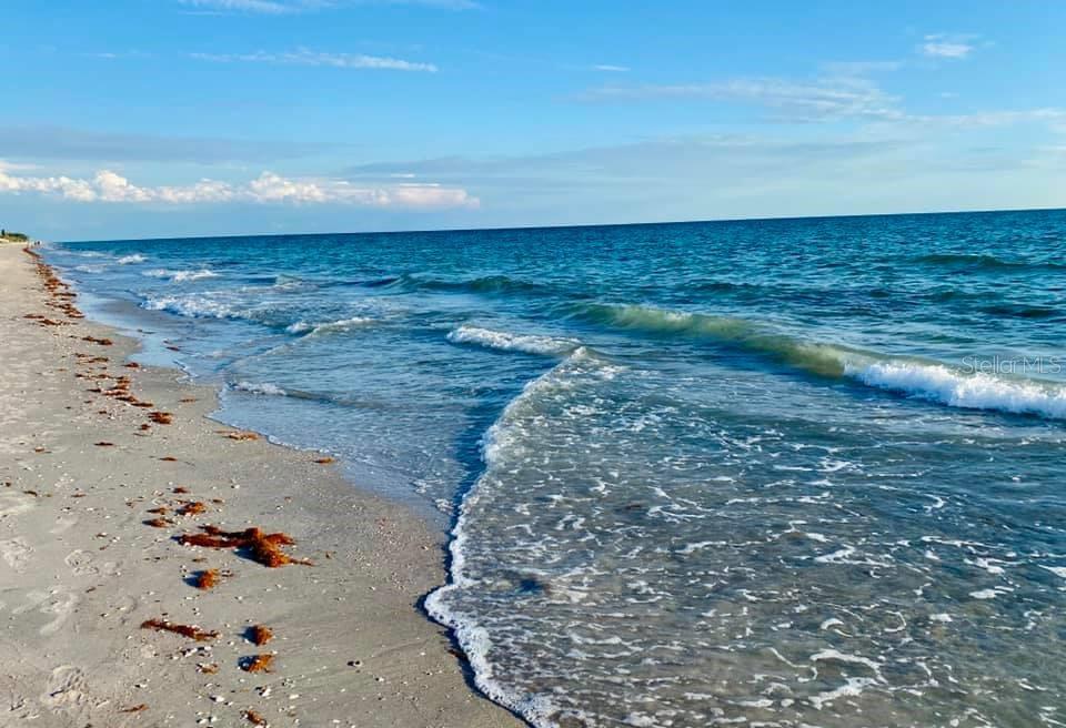 PARK FOREST PH 5 - Residential