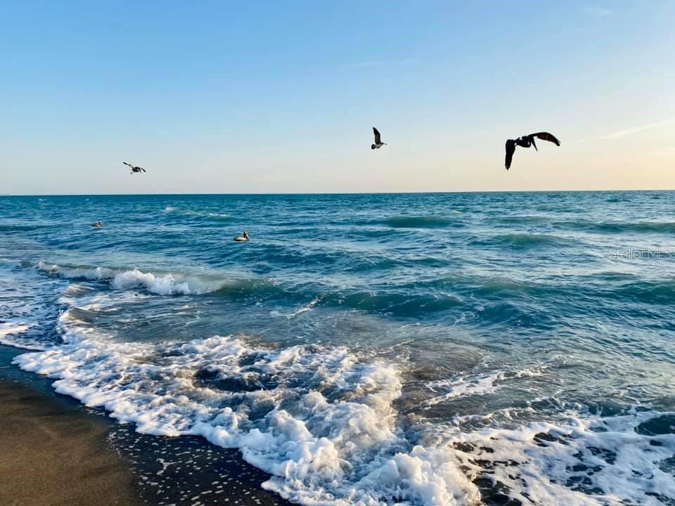 PARK FOREST PH 5 - Residential