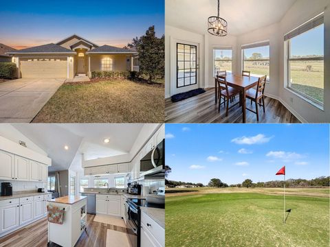 Photo of 17429 Eagle Trace Drive, Brooksville, FL 34604 (MLS # W7883185)