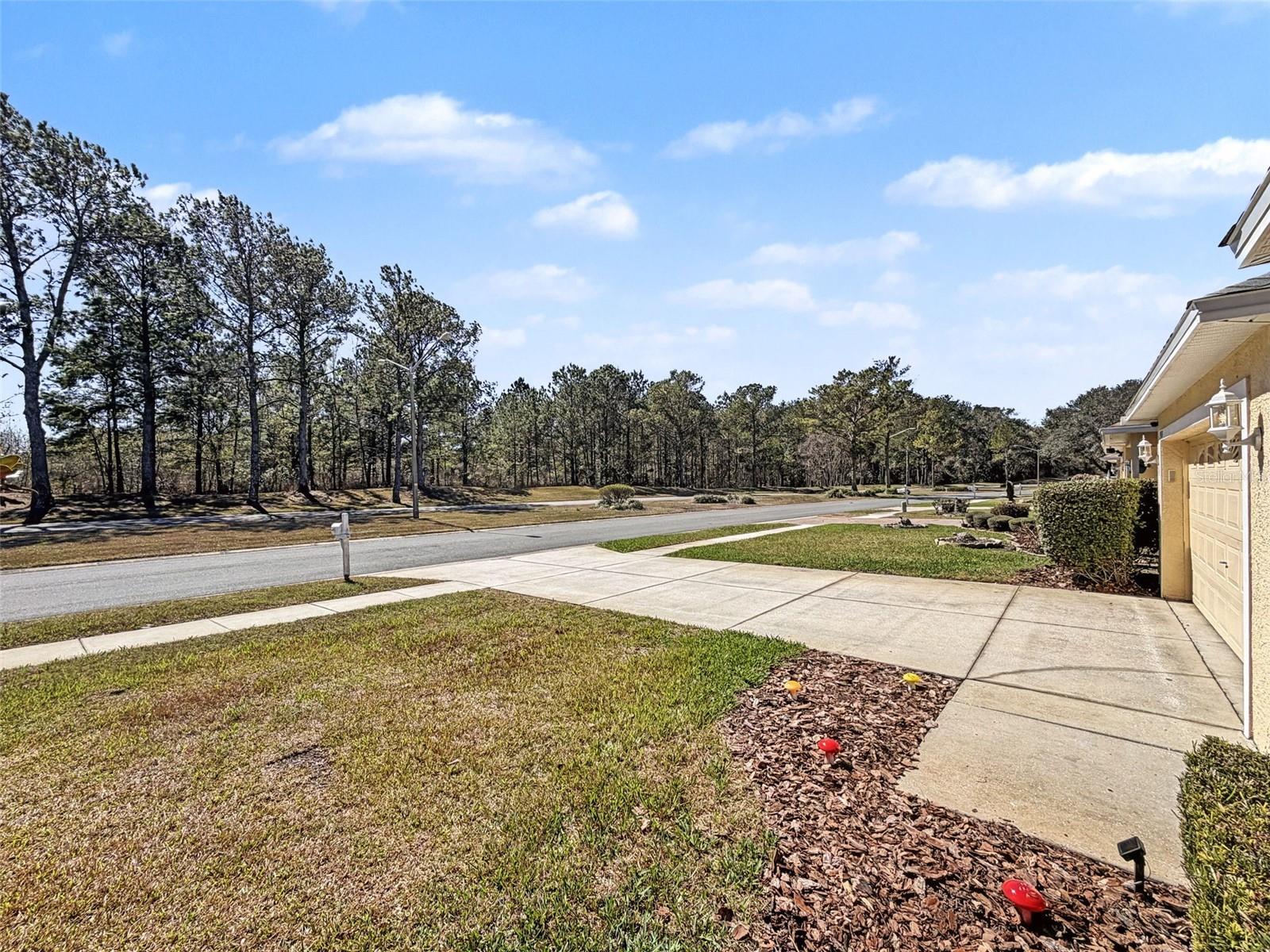 TRAILS AT RIVARD PH 1, 2 & 6 - Residential