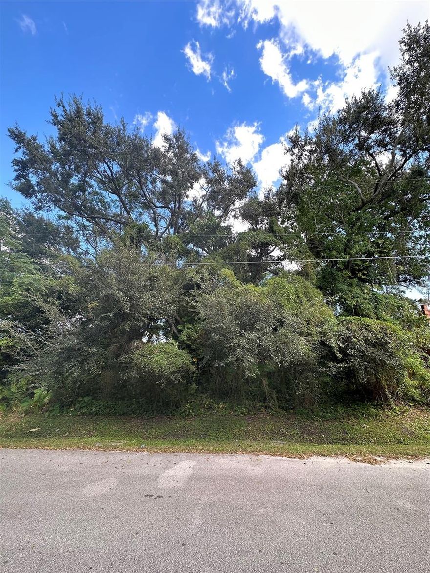 Vacant lot for sale .14 acres on Mandrake Street in West Orlando. This property has lot dimensions of 50 x 125 and no HOA or deed restrictions. The current zoning is R-1 for single-family residential. Just minutes away from the 408 East-West Expressway, SR-50/Colonial Dr., Florida Turnpike, Downtown Orlando, Metro West, MCO/Orlando International Airport, schools, shopping, supermarkets, hospitals, and theme parks