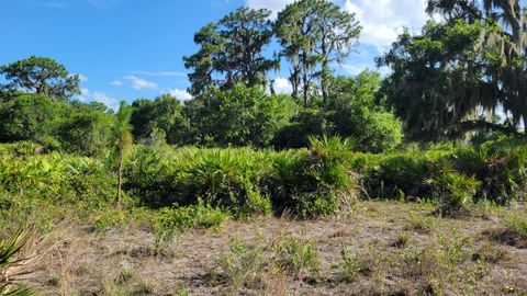 A home in WIMAUMA