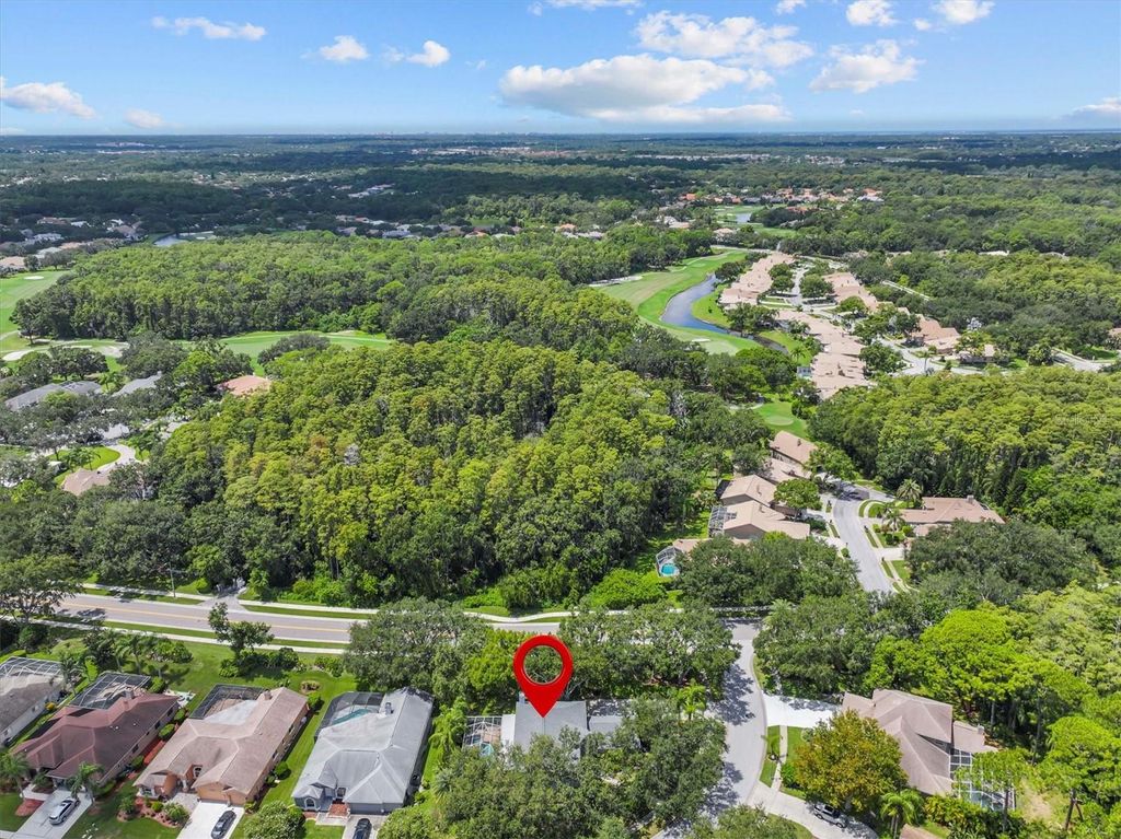 Photo of 2328 Warwick Drive, Oldsmar, FL 34677 (MLS # TB8419306)