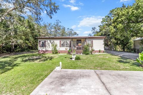 A home in HOMOSASSA